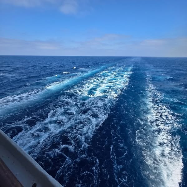 The ship’s white wake across a blue sea on the way to Malta